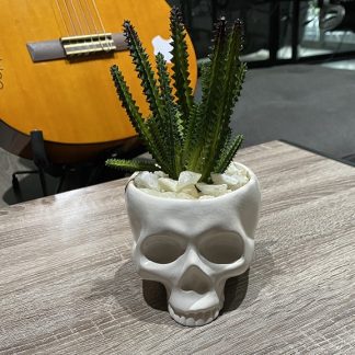 Suculentas de Cerámica